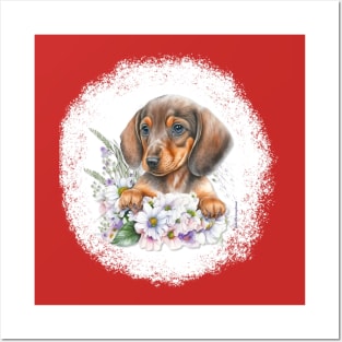 Dachshund Puppy Laying In Flowers Posters and Art